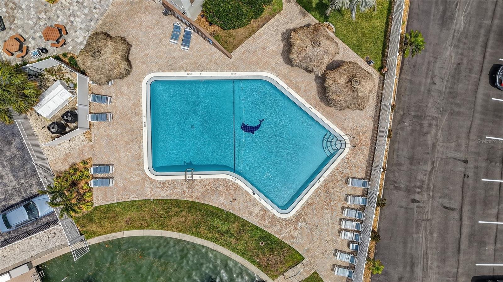 DOLPHIN COVE CLEARWATER - Residential