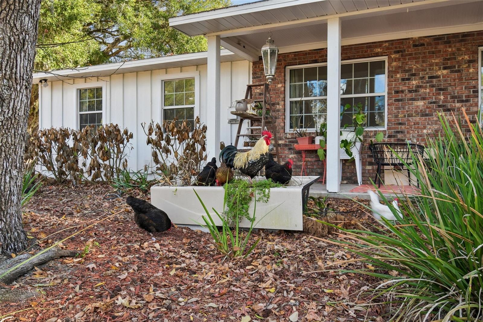 3009 JIM JOHNSON ROAD