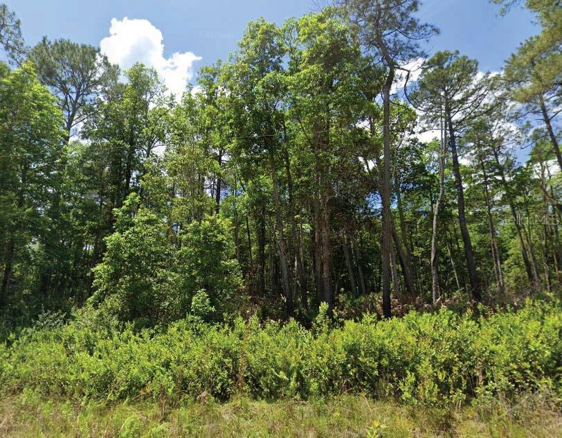 INTERLACHEN LAKES ESTATES - Land