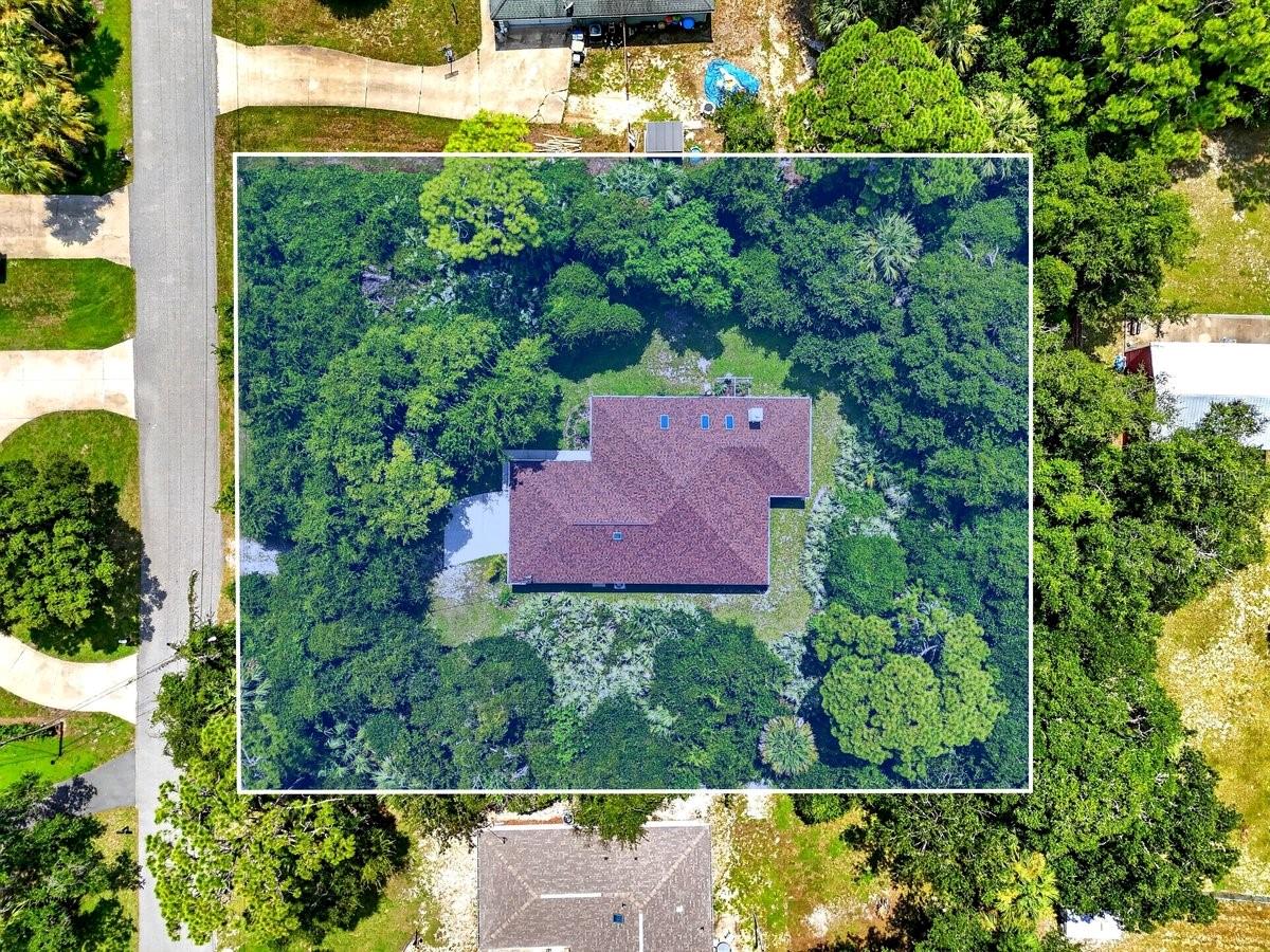 113 ARBOR LANE
