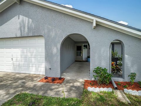 A home in VALRICO