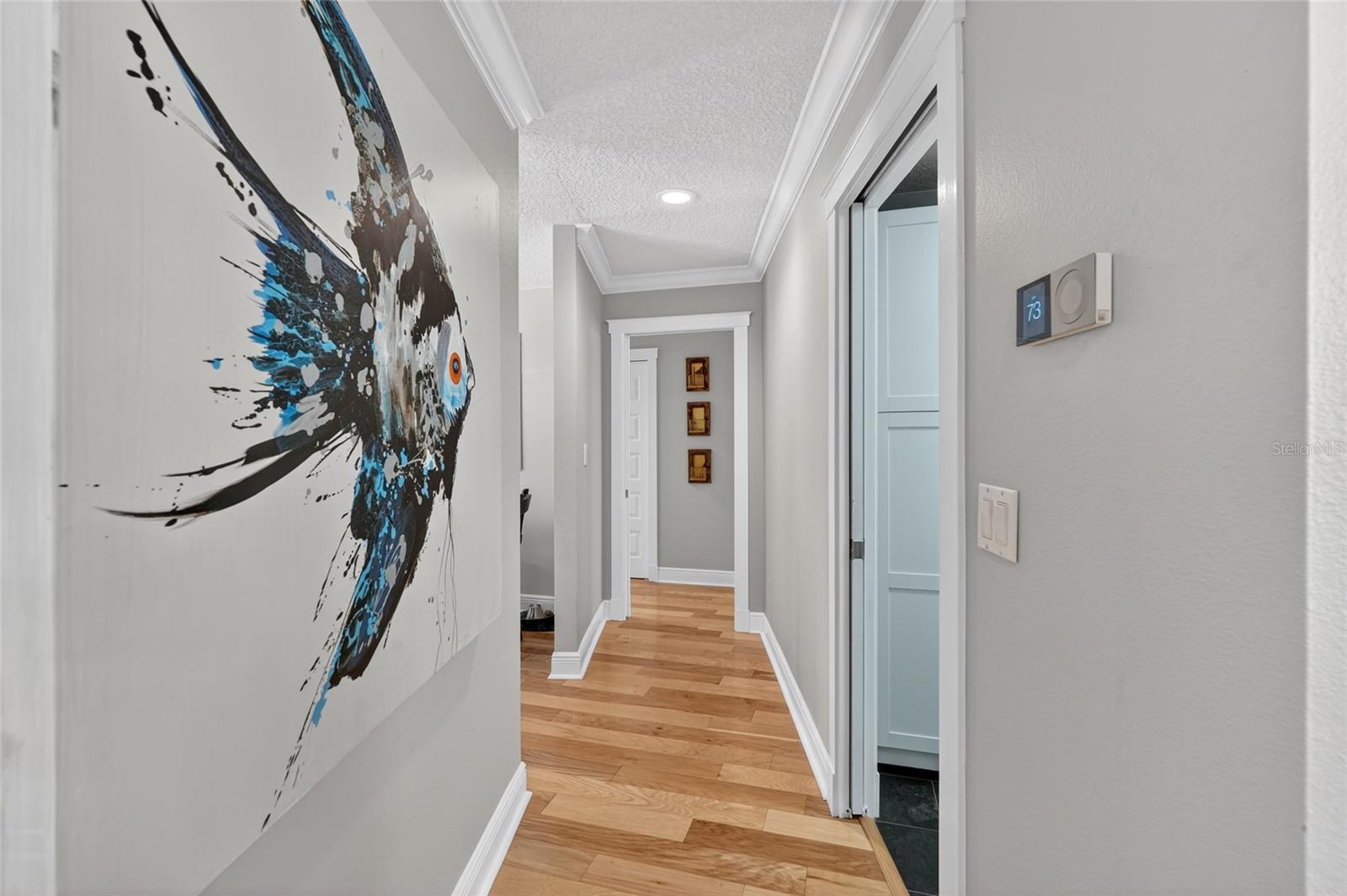 LAKE MAGDALENE MANORS - Residential