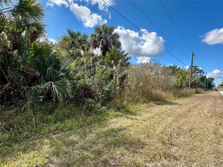 Discover the perfect opportunity to own 2.73 acres in Golden Gate Estates and build the lifestyle you’ve been dreaming of. With no HOA restrictions, this property offers the freedom and flexibility ideal for those seeking a true rural setting with room to grow. Large parcels like this are becoming increasingly rare in the area. Surrounded by beautiful new homes being constructed, you can enjoy peaceful country living while still being part of a growing and desirable community. Create your private retreat, bring your toys, add a workshop, or design the custom home you’ve always wanted. Enjoy wide-open spaces, privacy, and the serenity that makes Golden Gate Estates so sought after. Conveniently located just 30 minutes to Naples’ world-famous beaches, and only minutes from local restaurants, shopping centers, and everyday conveniences. Don’t miss this opportunity to secure your piece of paradise in one of Southwest Florida’s most desirable rural communities.