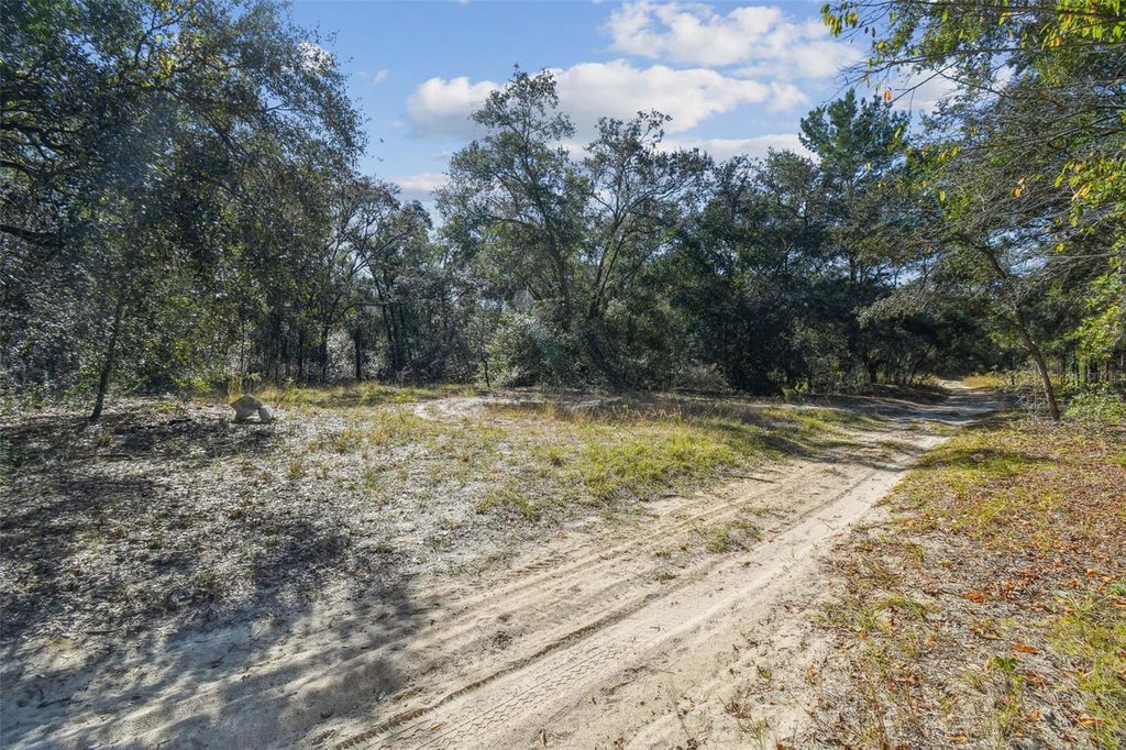 Photo of 2903 Tyler Street, Inverness, FL 34453 (MLS # O6360166)