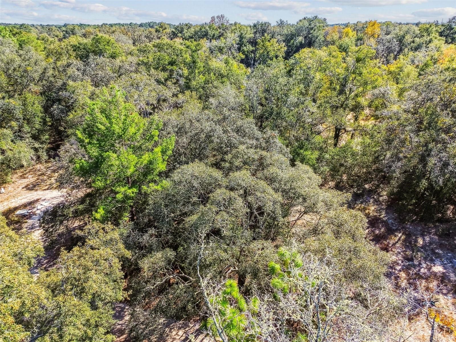 INVERNESS ACRES UN 1 - Land