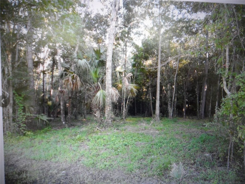 Photo of 8330 W Grover Cleveland Boulevard, Homosassa, FL 34446 (MLS # OM711162)