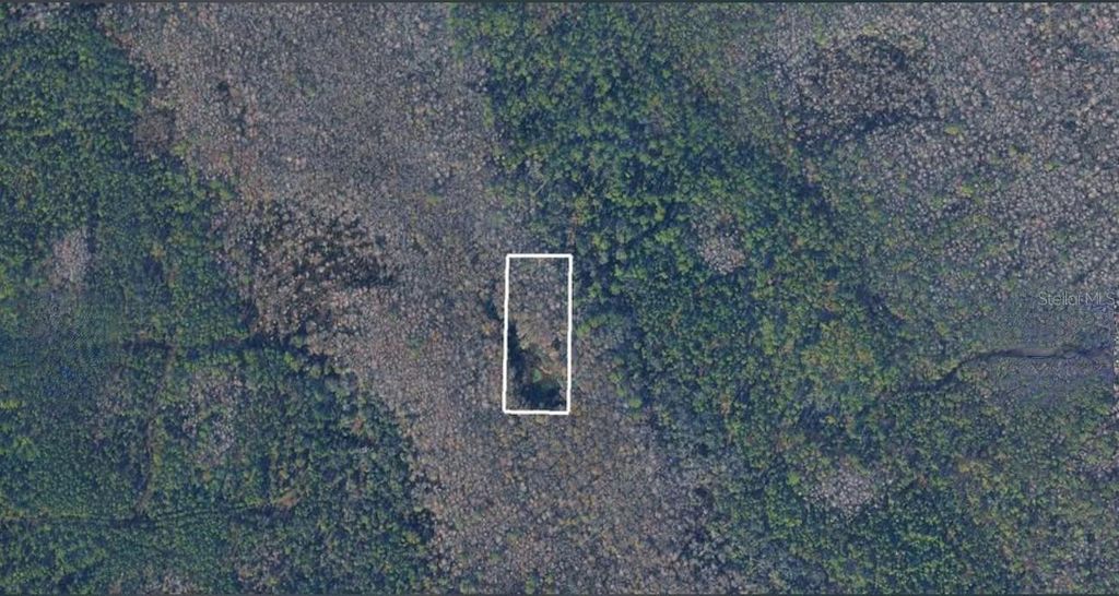 Photo of No Street, Lake Helen, FL 32744 (MLS # TB8474406)