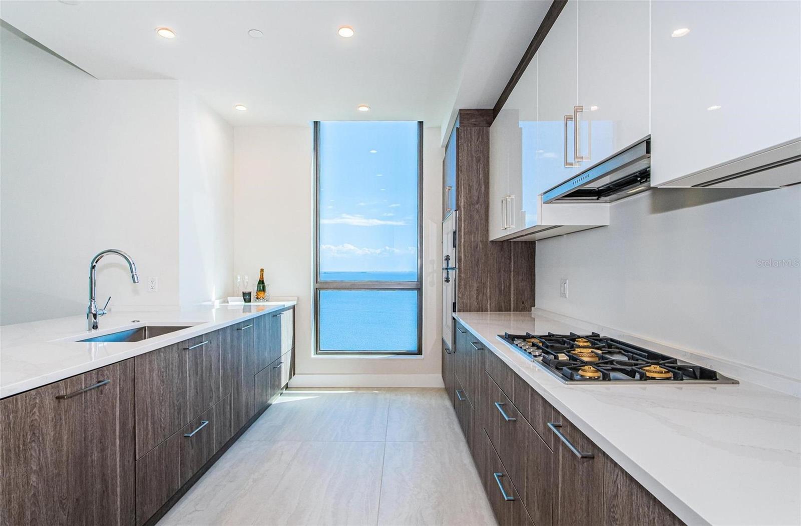 HYDE PARK HOUSE - Residential