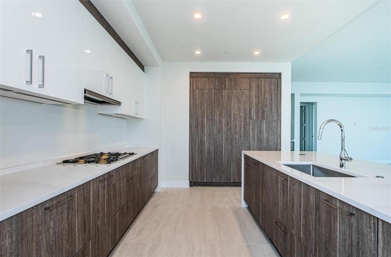 HYDE PARK HOUSE - Residential