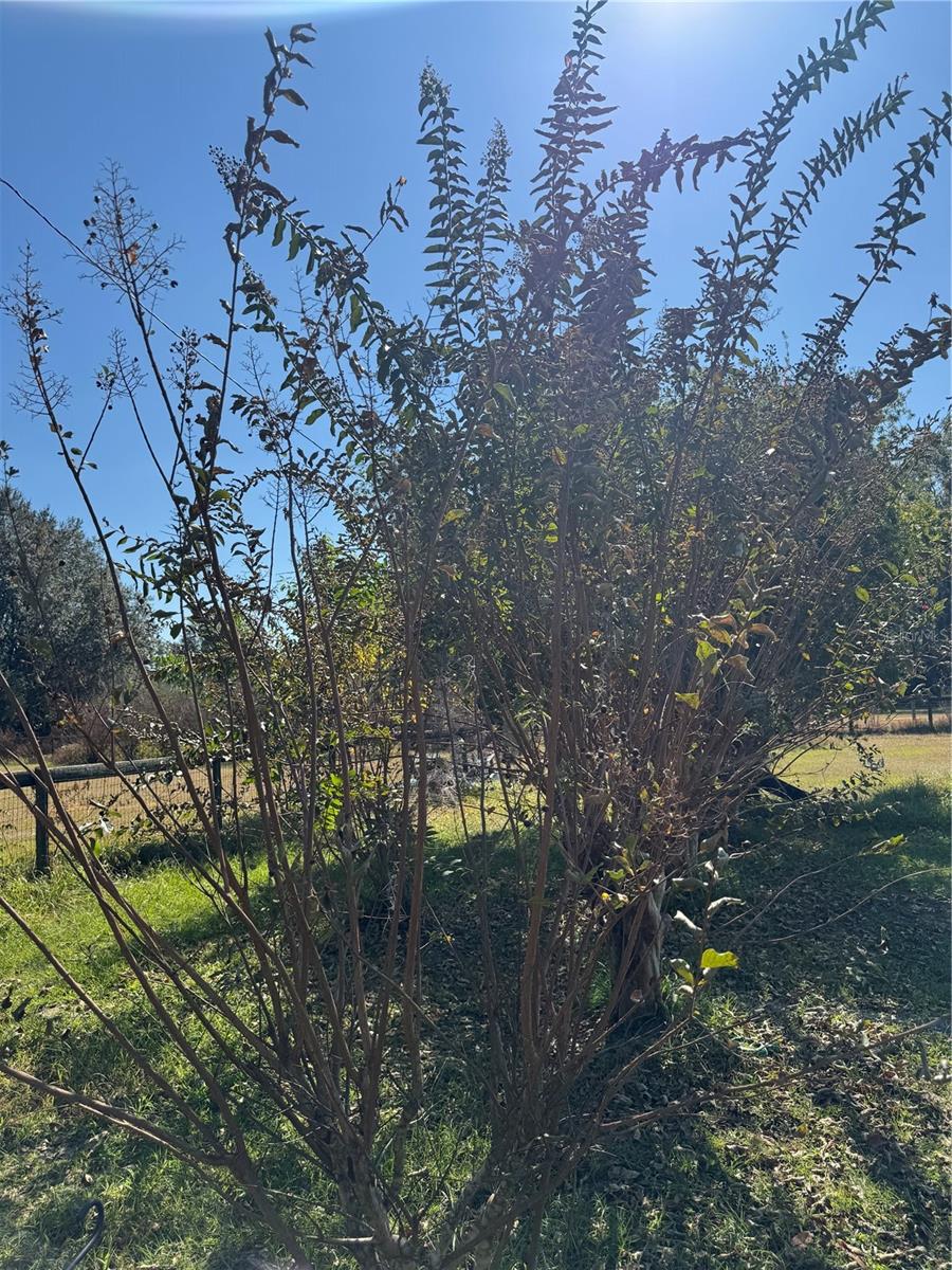 NEIGHBORHOOD 9475-CR475/SMAG - Residential