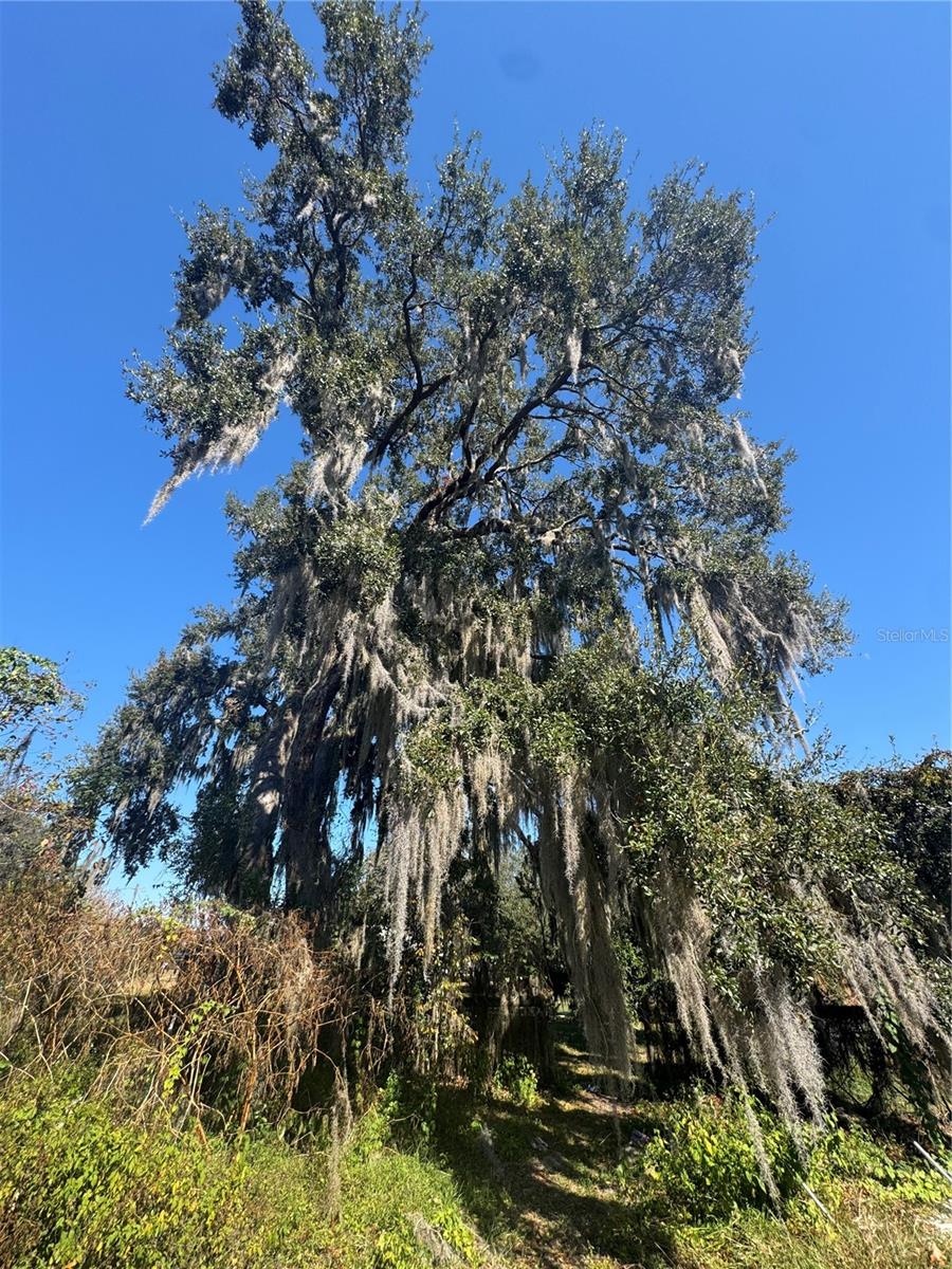 NEIGHBORHOOD 9475-CR475/SMAG - Residential