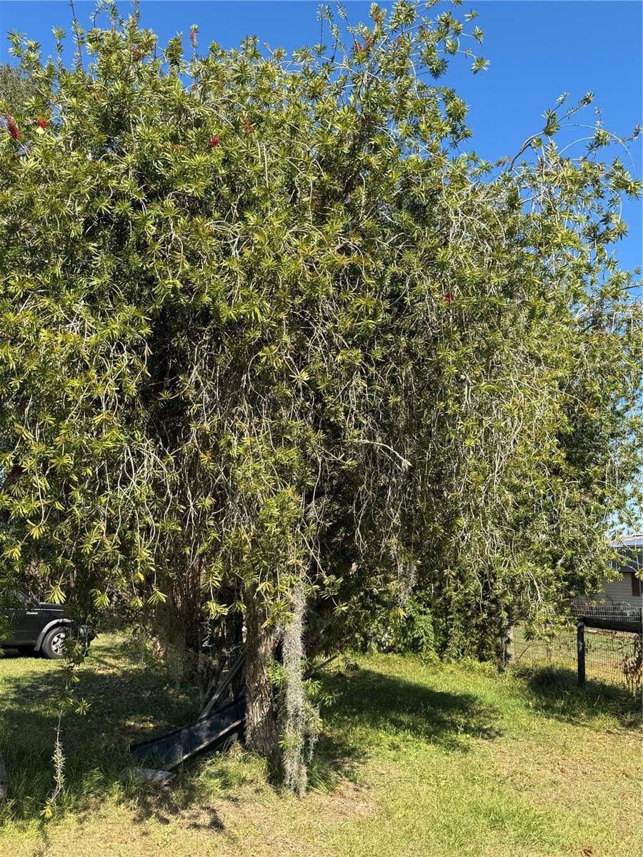 NEIGHBORHOOD 9475-CR475/SMAG - Residential