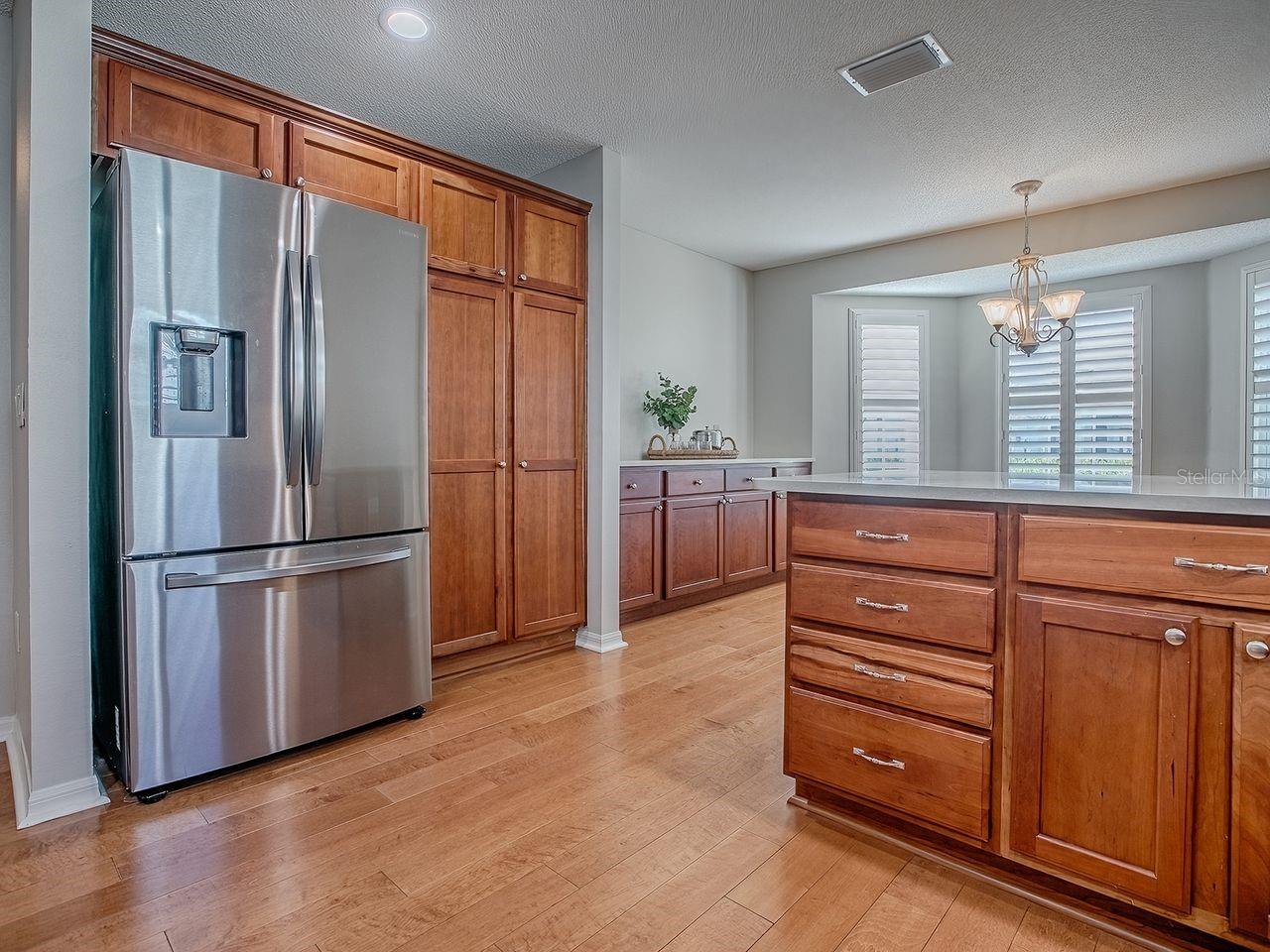 VILLAGES OF SUMTER - Residential