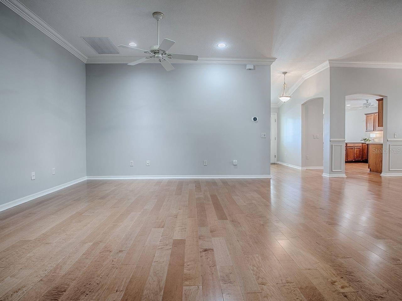 VILLAGES OF SUMTER - Residential