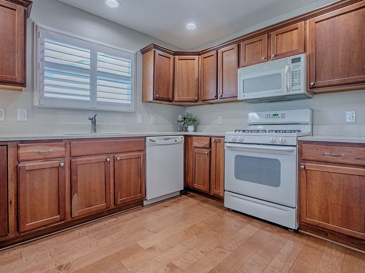 VILLAGES OF SUMTER - Residential