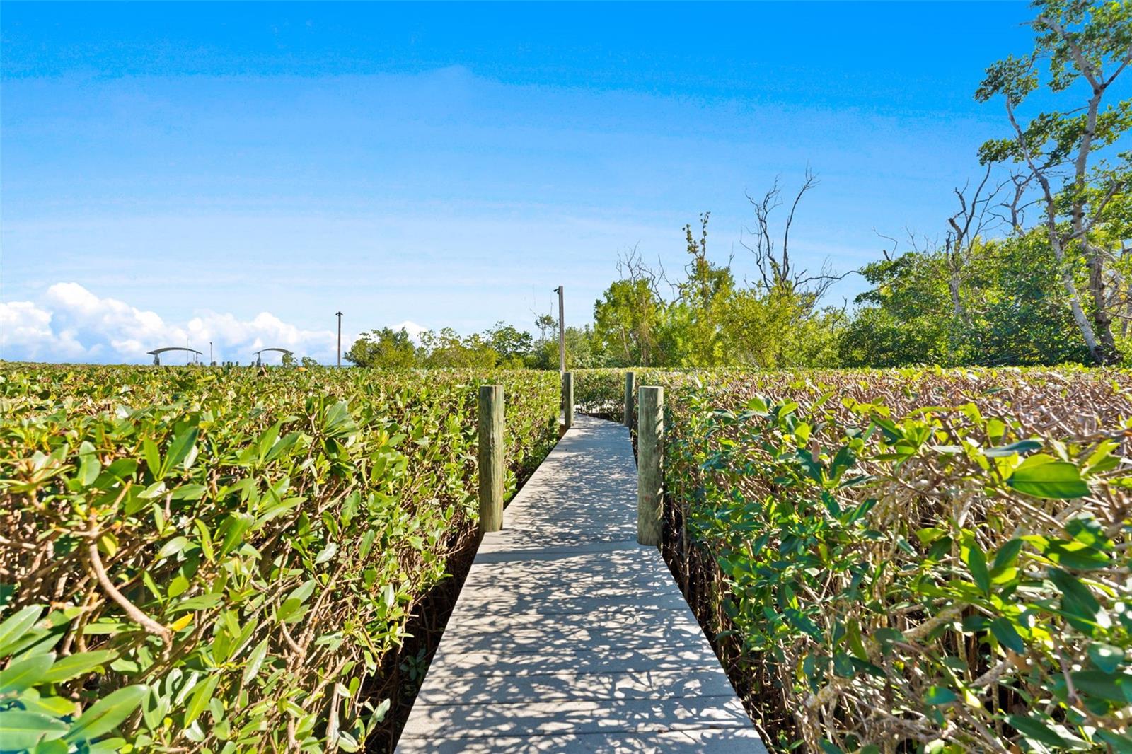 EAST SHORE ACRES 02 - Residential