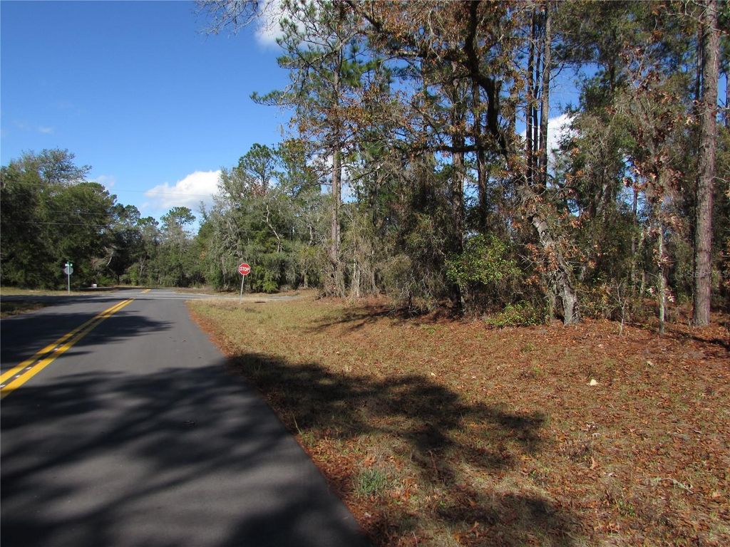 Photo of 18 SW 156 Street, Ocala, FL 34473 (MLS # OM716718)