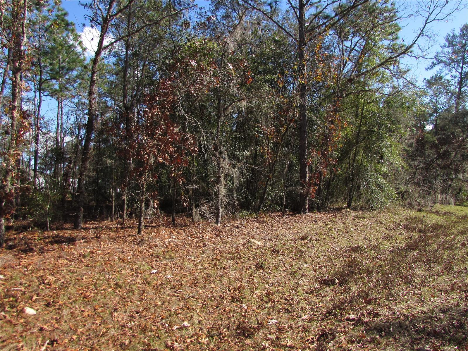 MARION OAKS 09 - Land