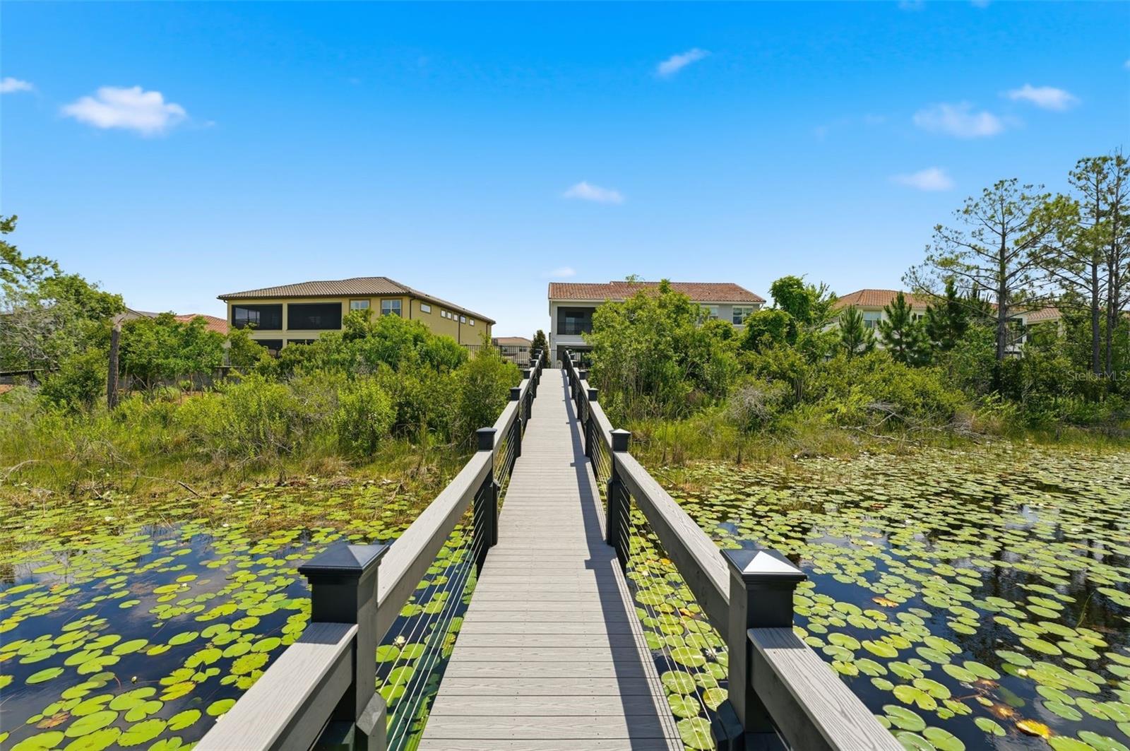 AVALON COVE - Residential