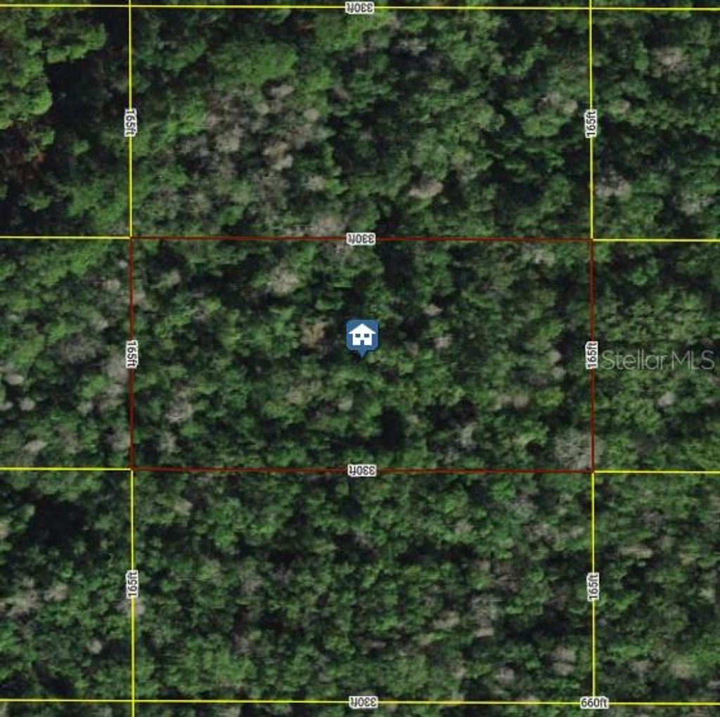 Photo of Tall Pine Road, Polk City, FL 33868 (MLS # TB8392336)