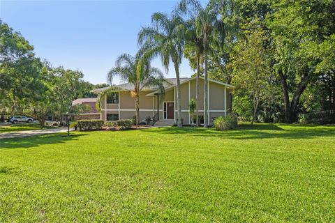 Photo of 33925 Highland Road, Leesburg, FL 34788 (MLS # O6309791) Photo of 33925 Highland Road, Leesburg, FL 34788 (MLS # O6309791)