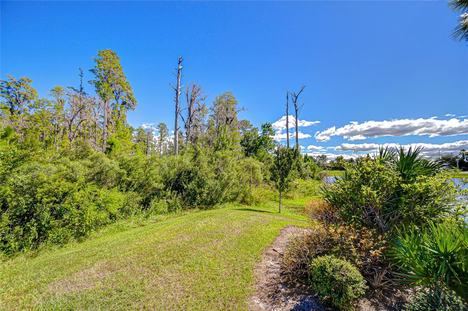 STARKEY RANCH PRCL B1 - Residential