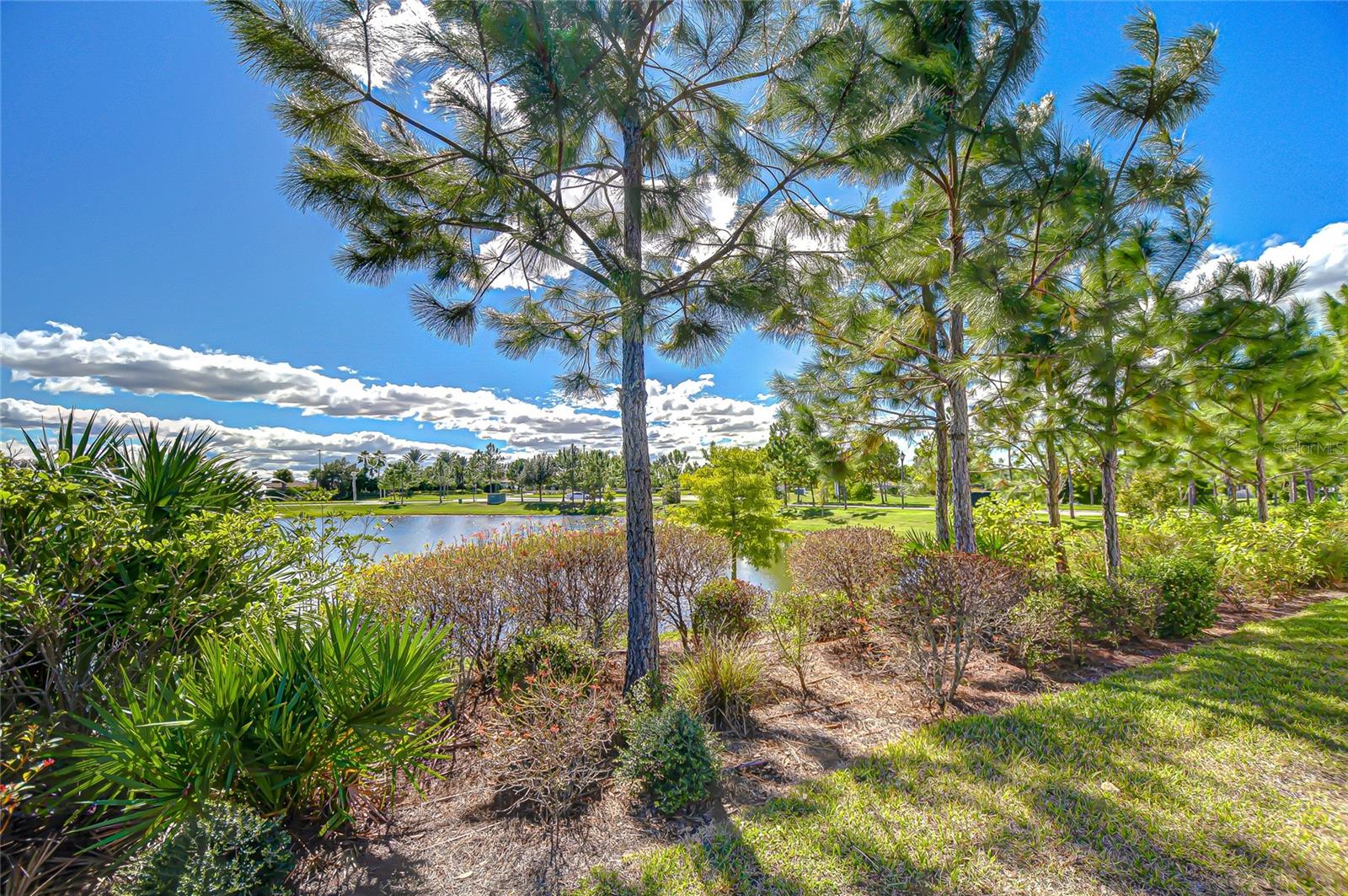 STARKEY RANCH PRCL B1 - Residential