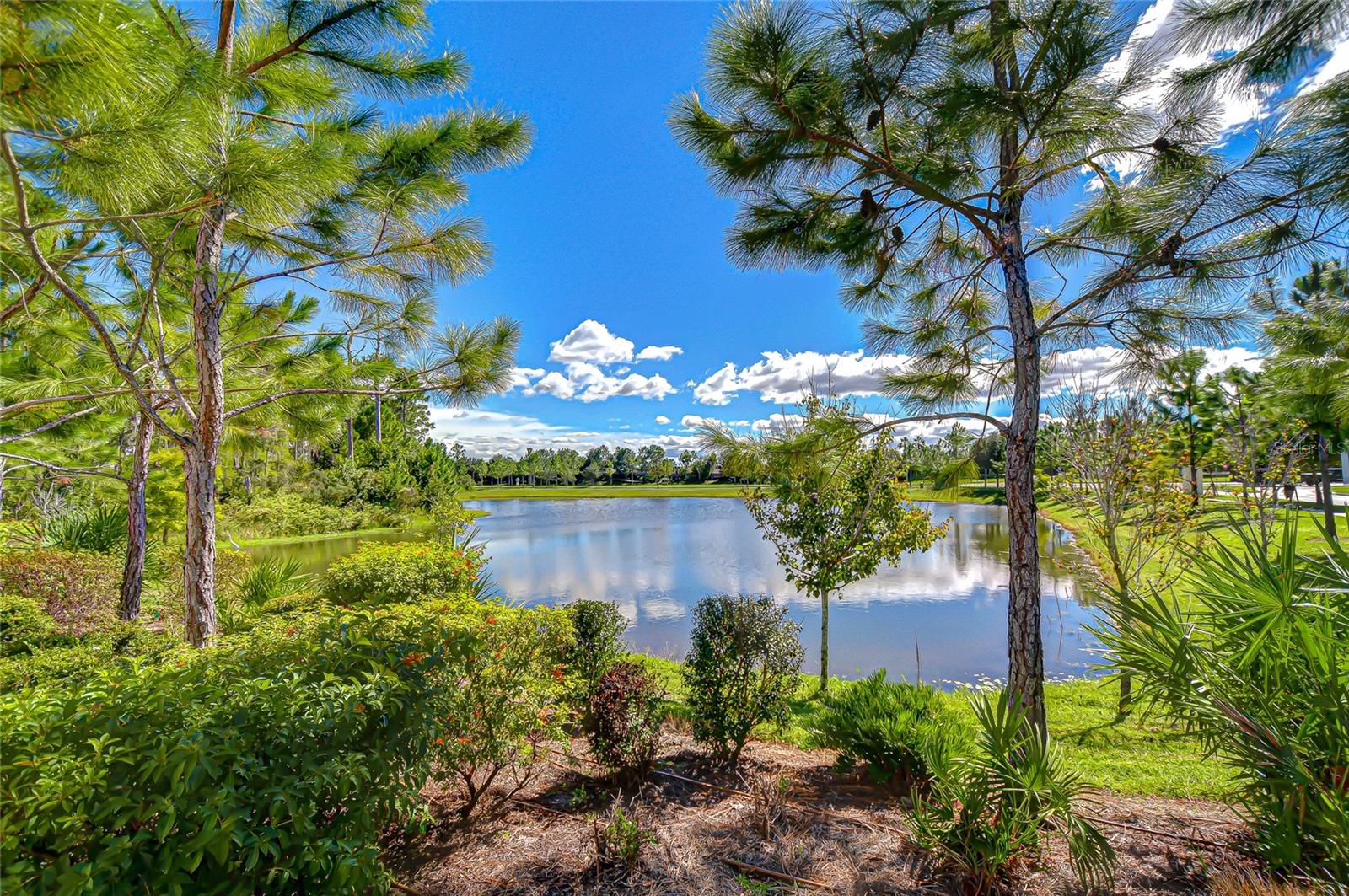 STARKEY RANCH PRCL B1 - Residential