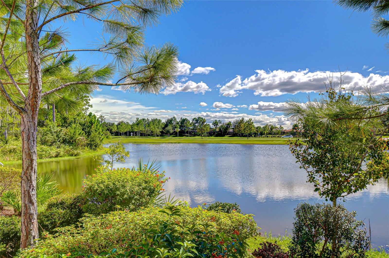 STARKEY RANCH PRCL B1 - Residential