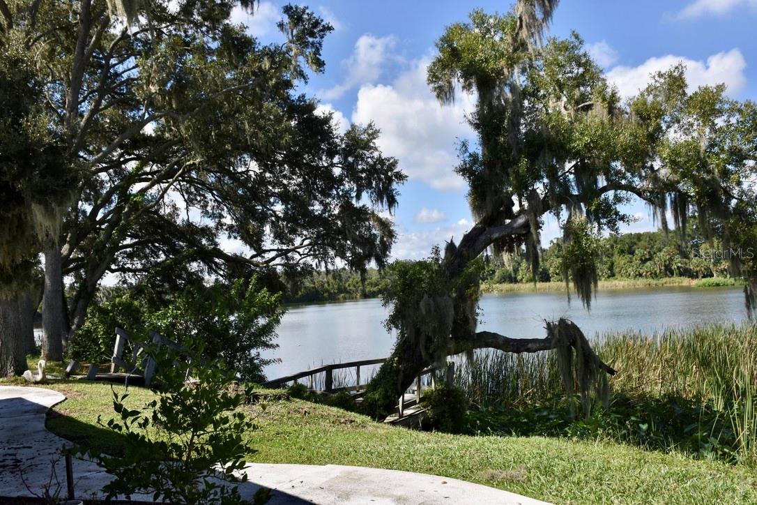 4389 WINDING OAKS DRIVE