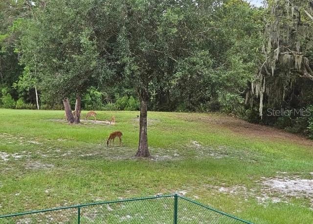 BASS LAKE ACRES - Residential