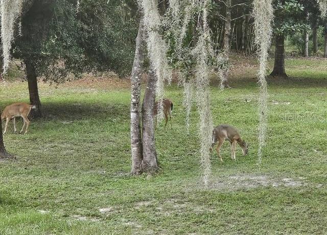 BASS LAKE ACRES - Residential
