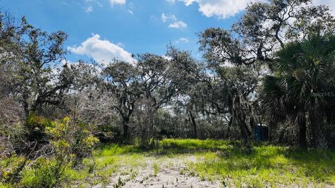 Tiny photo for 00000 Clark Island, Cedar Key, FL 32625 (MLS # OM679906)