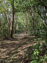 DRUID PARK AMD - Land