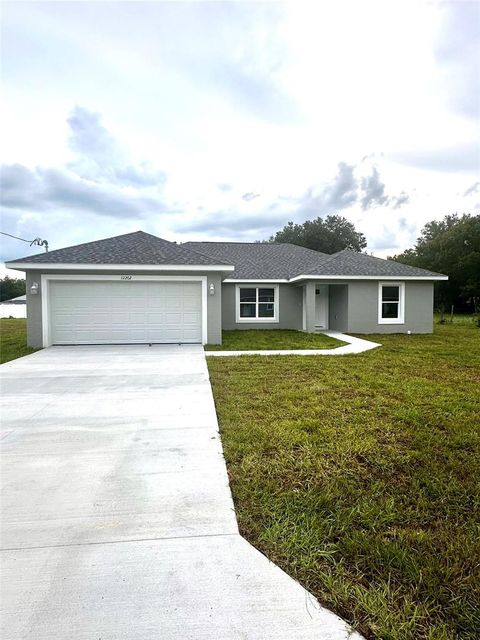 A home in BELLEVIEW