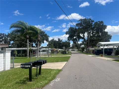 Tiny photo for 10212 Cr-44, Leesburg, FL 34788 (MLS # O6230513)