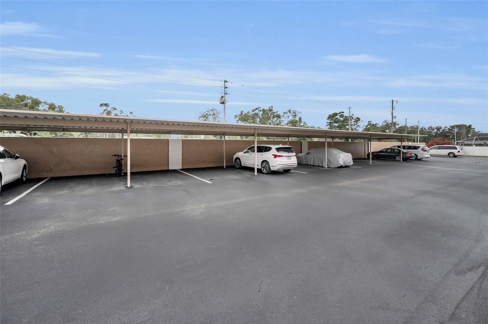 BEL-FOREST MANOR CONDO - Residential