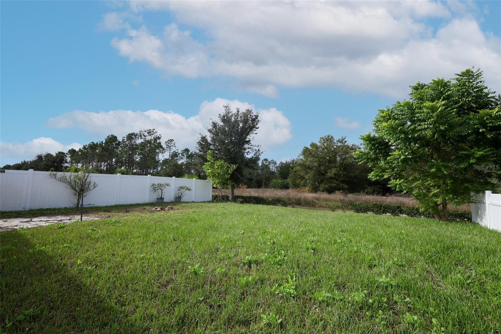 CANOPY WALK PH 1 - Residential