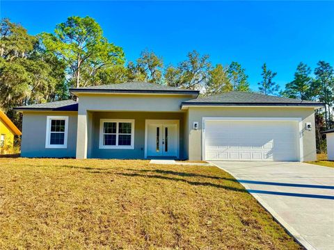 A home in CITRUS SPRINGS