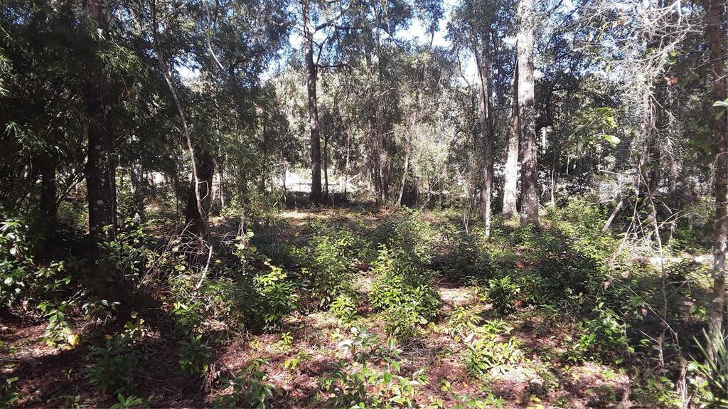 Photo of 15 65th Street, Yankeetown, FL 34498 (MLS # OM711113)