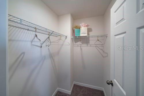 CYPRESS HAMMOCK PH 1 - Residential