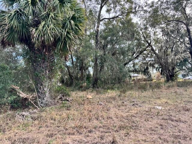 LAKE MOLLY ADD - Land