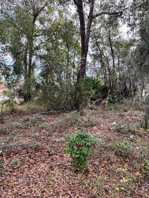 LAKE MOLLY ADD - Land