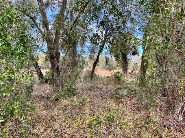 LAKE MOLLY ADD - Land