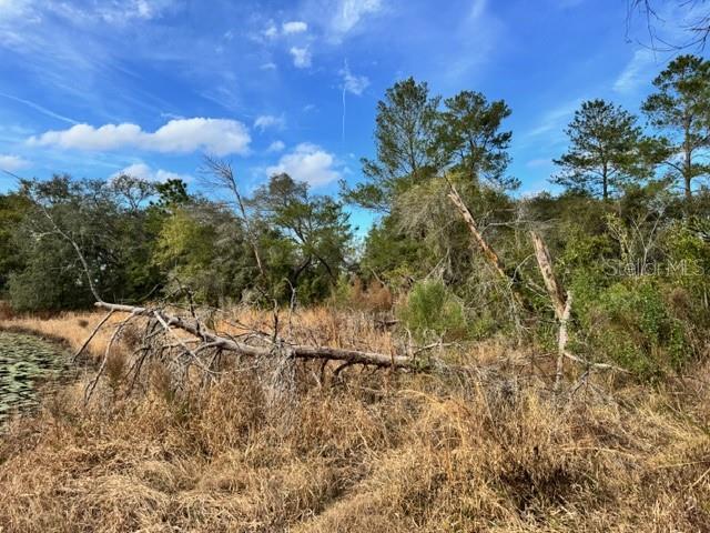 LAKE MOLLY ADD - Land