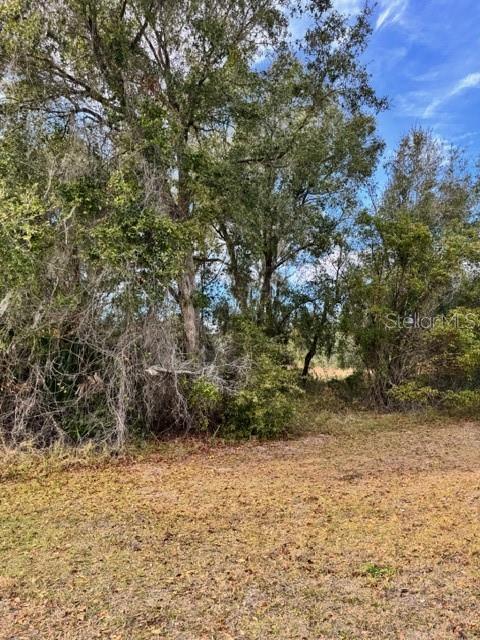 195 LAKE MOLLY AVENUE