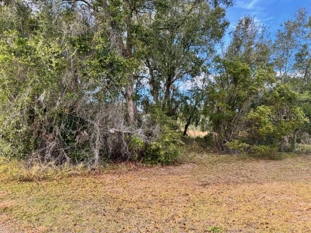 195 LAKE MOLLY AVENUE