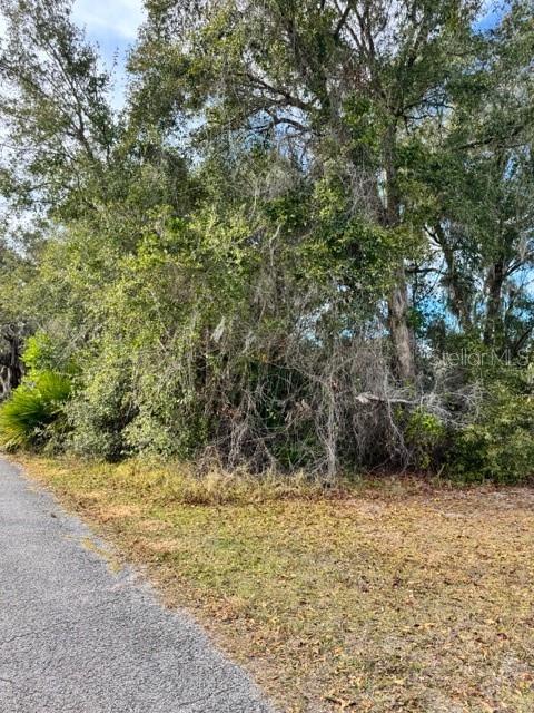 195 LAKE MOLLY AVENUE