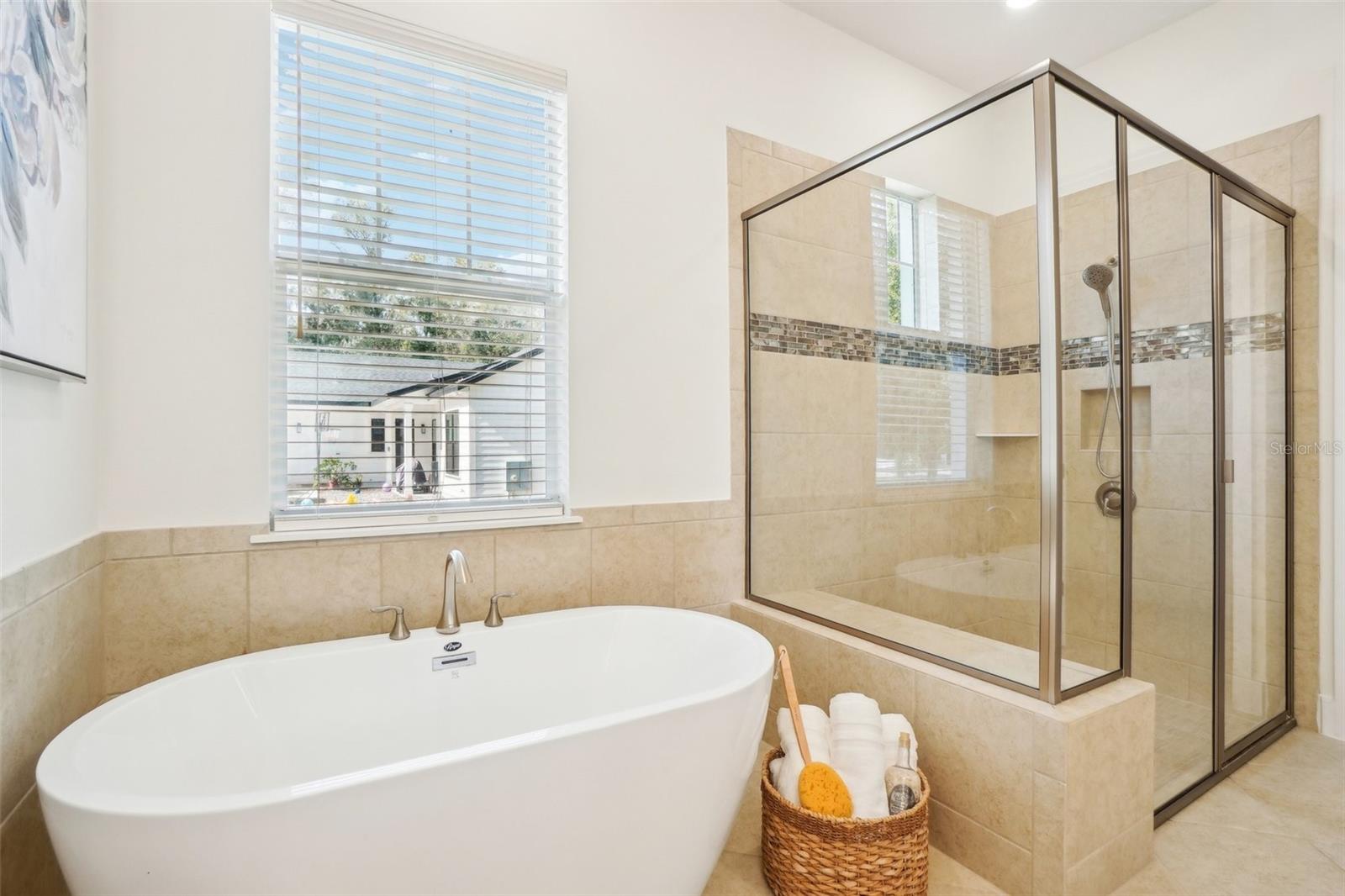 WOODS OF LAKE HELEN - Residential