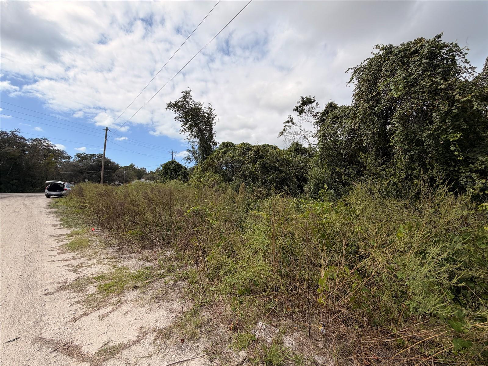 Lot 55 PALMETTO CIRCLE